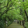 白山比咩神社 - 2