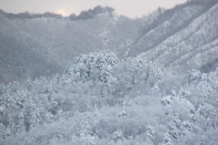 突然の大雪　１