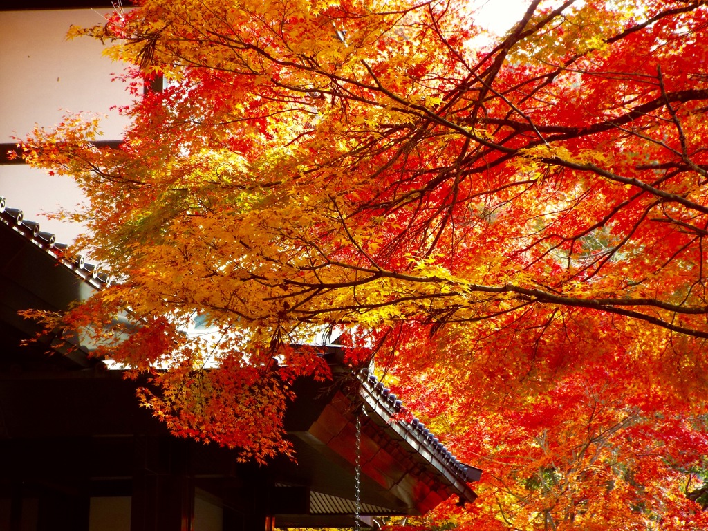 日枝神社 - 6