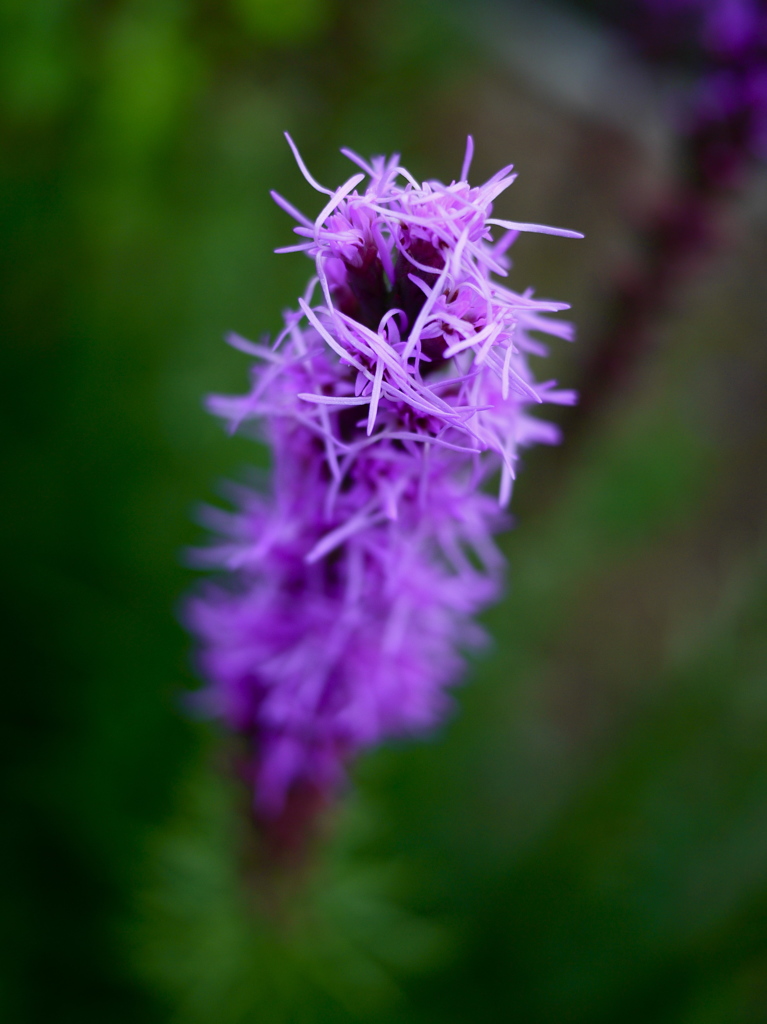 P1150416
