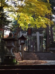 日枝神社 - 13