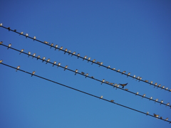 P1150760