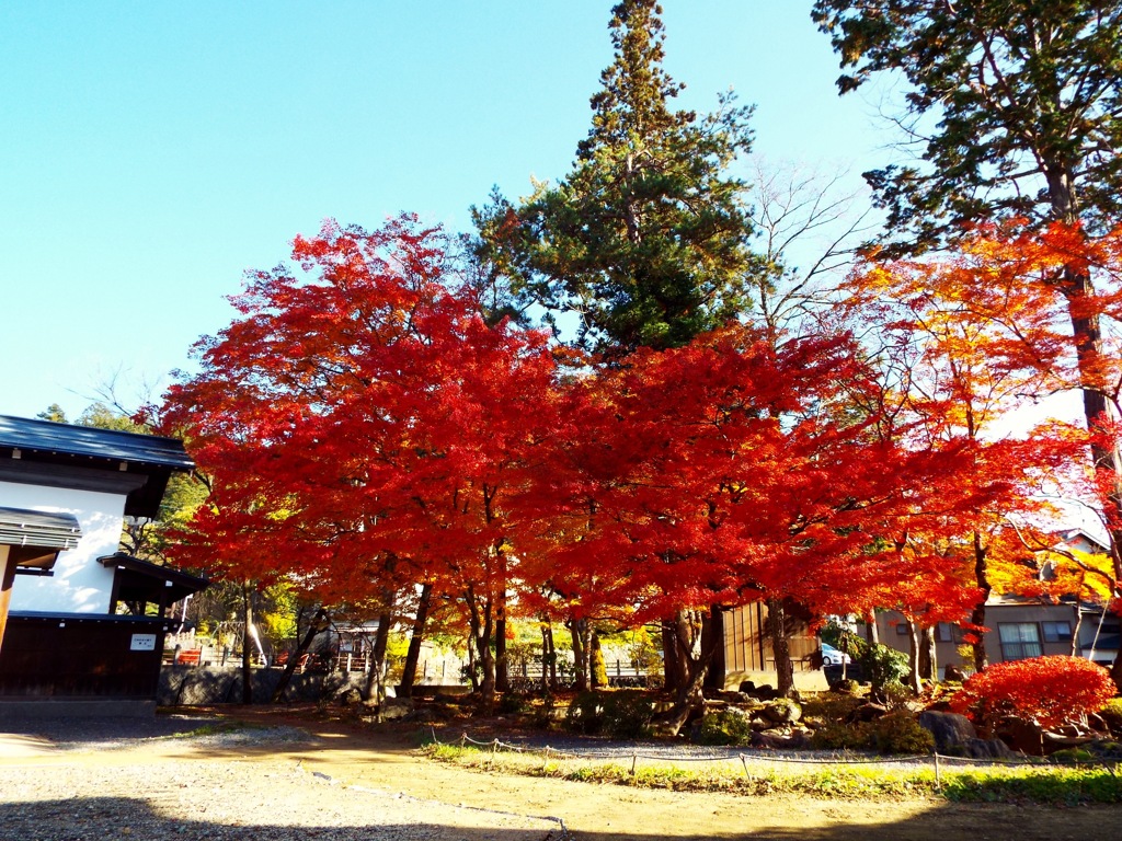 川上別邸史跡公園にて - 1