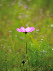 201409152