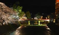 飛騨高山　夜桜04