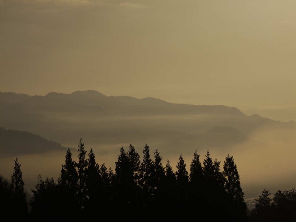朝の風景3
