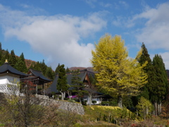 P1130701