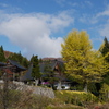 P1130701
