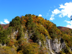 白山スーパー林道4