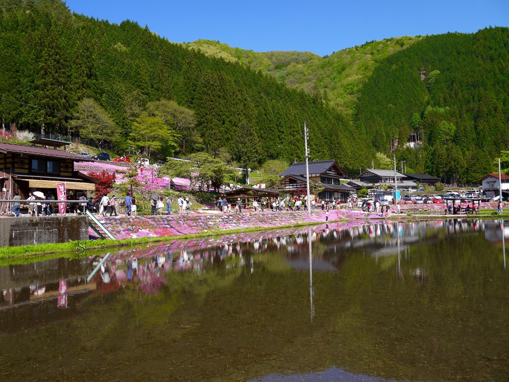 國田家の芝桜 - 26