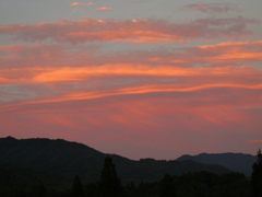 夕暮れ2