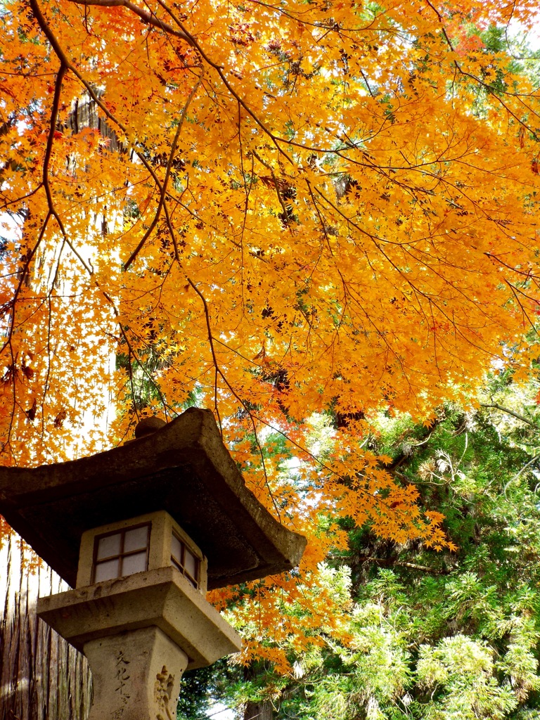 日枝神社 - 9