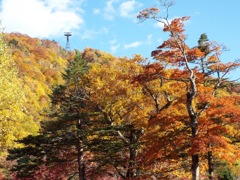 新穂高　鍋平高原 - 2