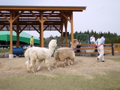 牧歌の里 - 16