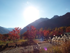 新穂高　鍋平高原 - 4