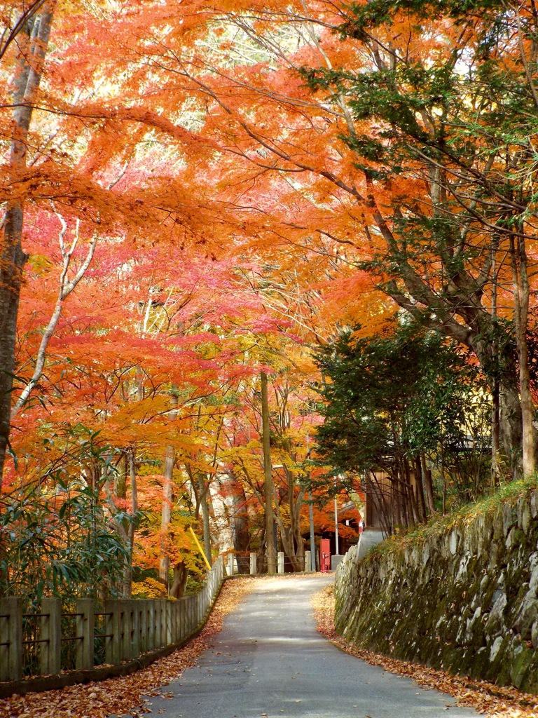 日枝神社 - 4