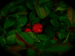 P1120878