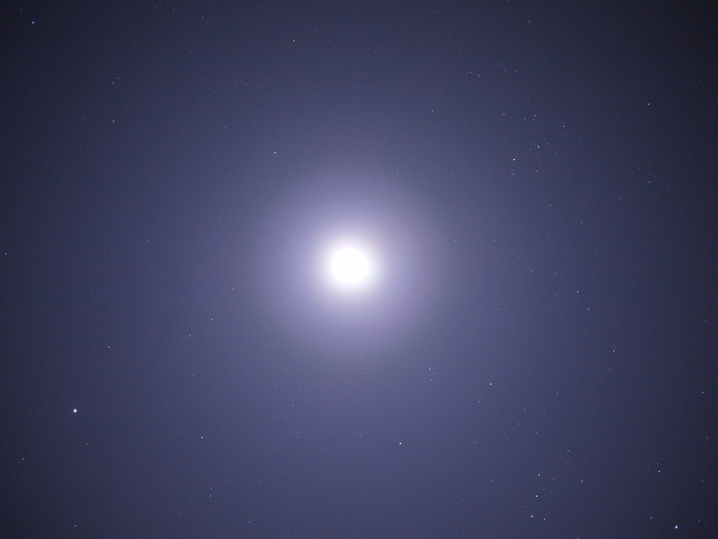 P1130859