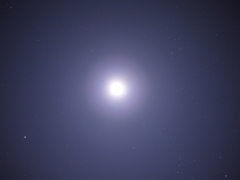 P1130859