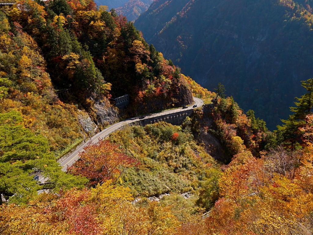 白山スーパー林道5