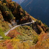 白山スーパー林道5