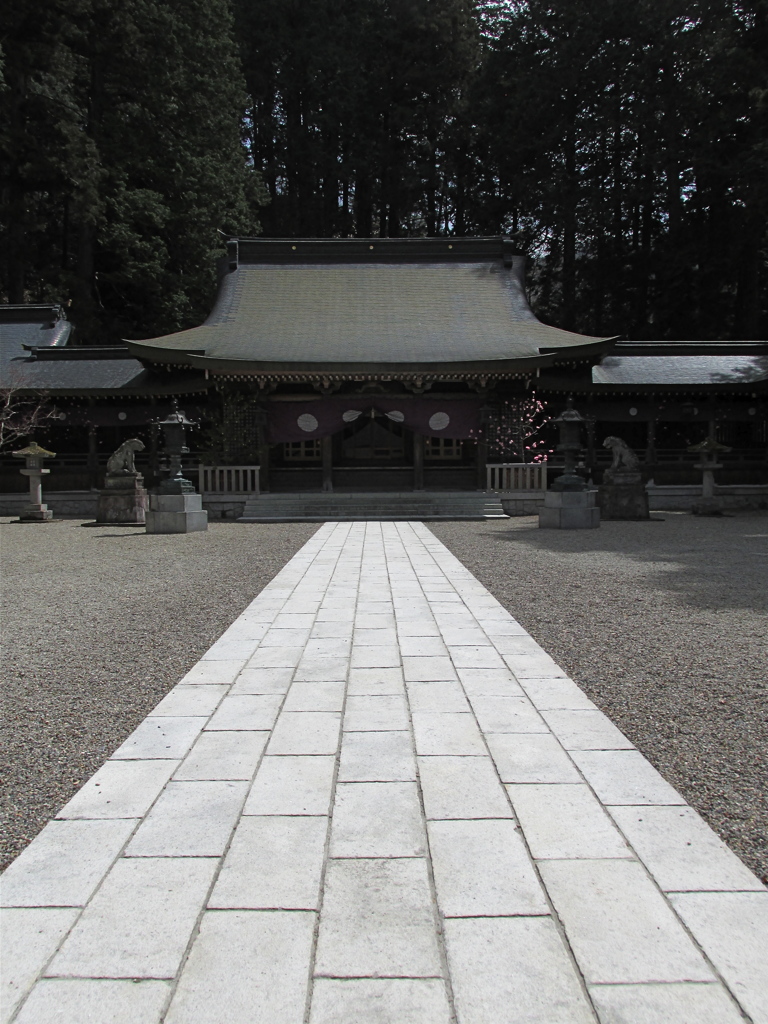 飛騨一ノ宮水無神社1
