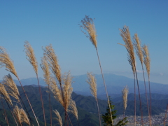 P1150741