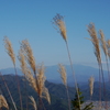 P1150741