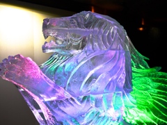 P1050631