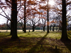 富山県中央植物園より18