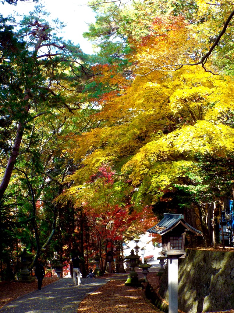 日枝神社 - 11