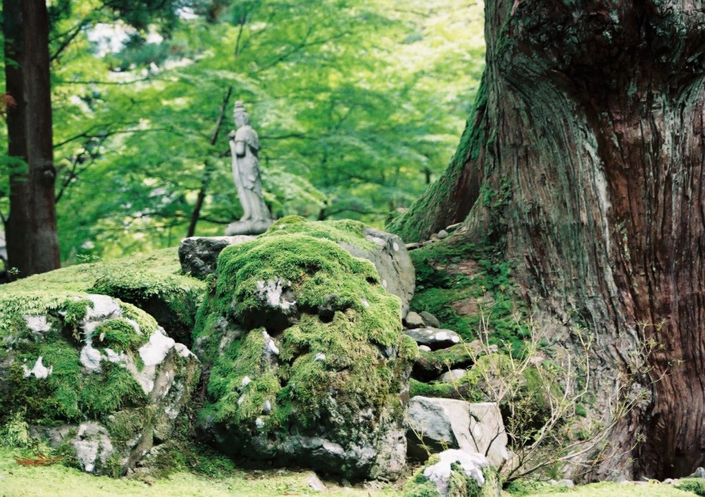 pentax me
