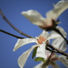 花フェスタ記念公園にて