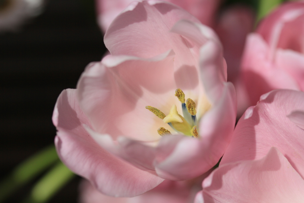 日差しを浴びて
