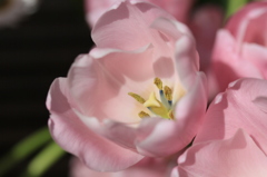 日差しを浴びて