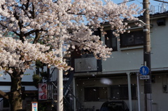 DSC03507