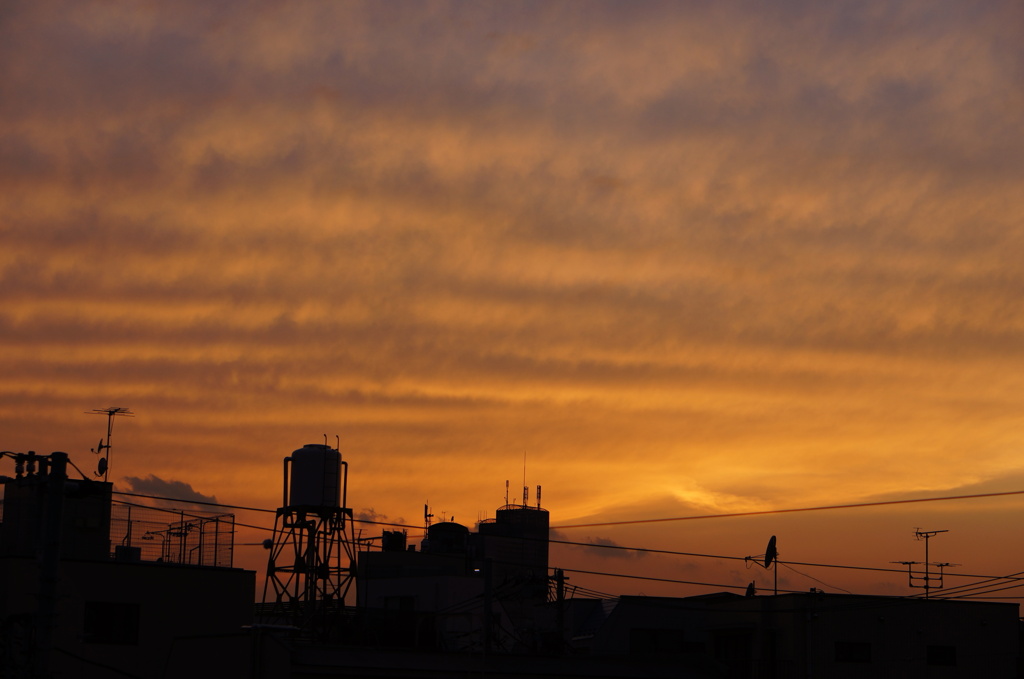 DSC00517