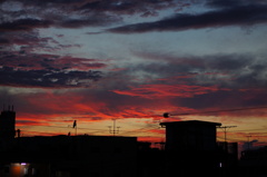 DSC08761