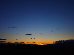 夕陽