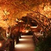 木のトンネル