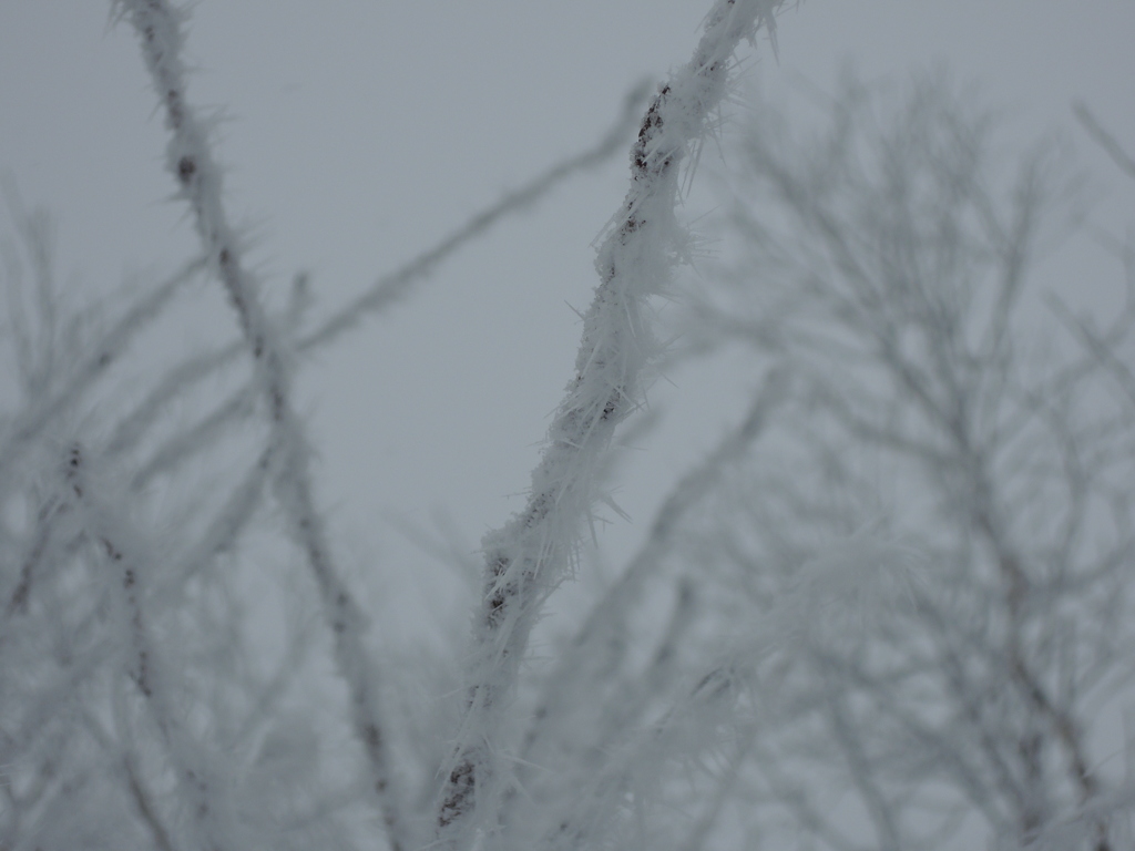 DSCN0185