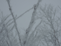 DSCN0185