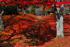 土津神社