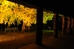 長床・２