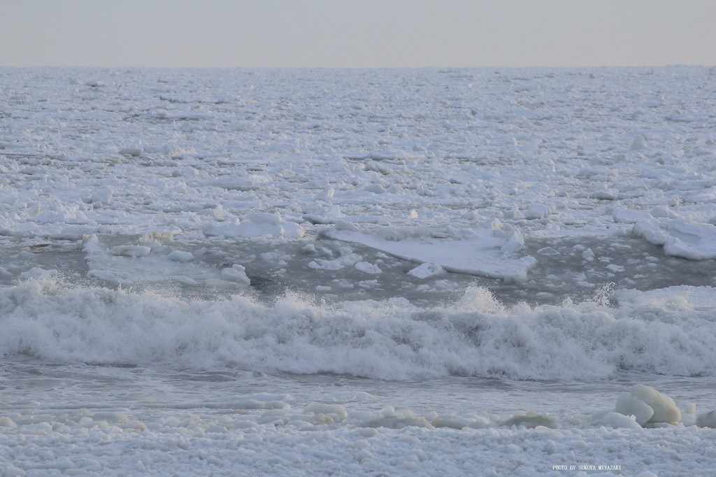 流氷～波に揺られて～