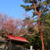 網走神社