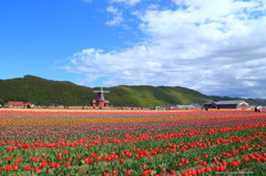 北海道上湧別チューリップ公園