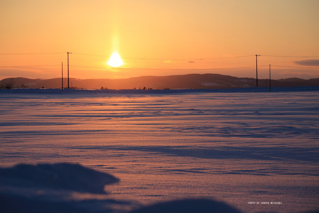 夕染め雪原