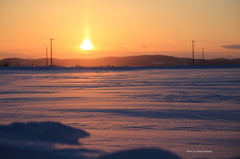 夕染め雪原