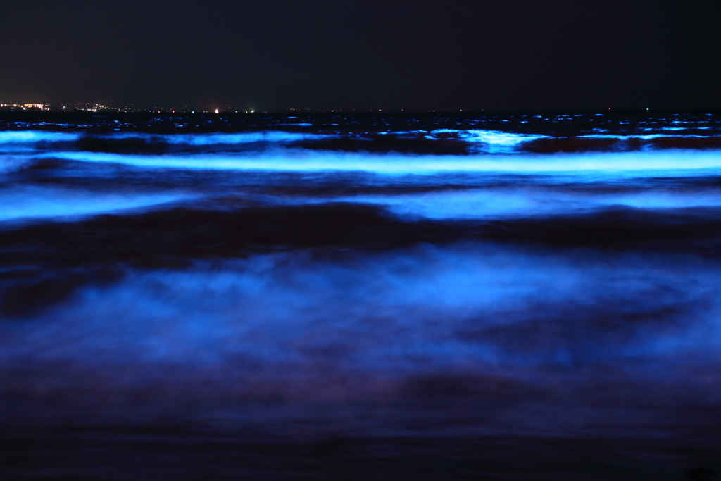 夜光の波